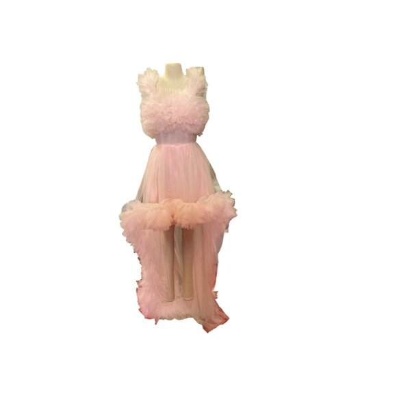 Incredible Oh So Darling Ruffled Tulle High-Low Dress With Train In Soft Pink - Picture 5 of 16